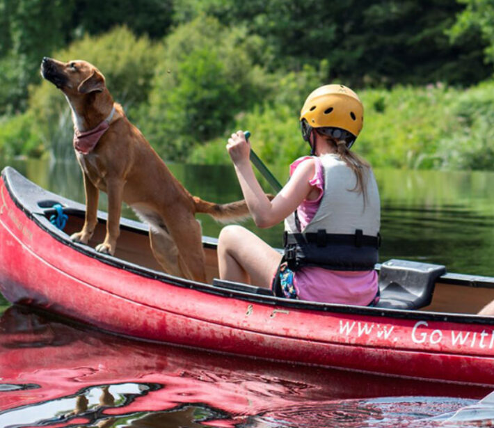 A person wearing a helmet and life vest paddles a red canoe on a calm lake, accompanied by a standing dog, with lush greenery in the background.